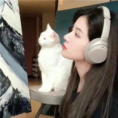 猫眼神探之红莲